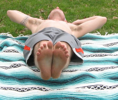 Crunches: Legs Straight (abs)